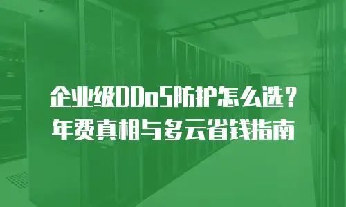 企业级DDoS防护怎么选？年费真相与多云省钱指南