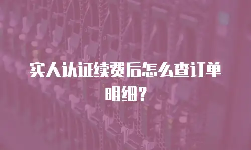实人认证续费后怎么查订单明细？
