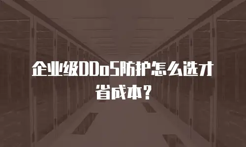 企业级DDoS防护怎么选才省成本？