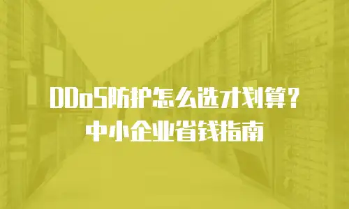 DDoS防护怎么选才划算？中小企业省钱指南