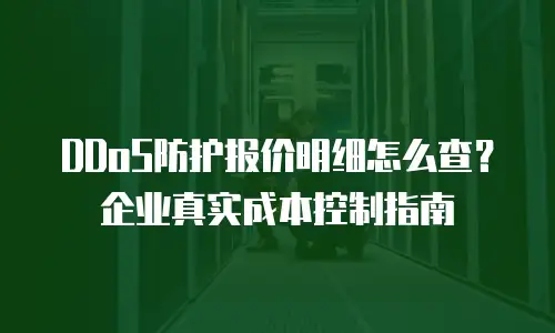 DDoS防护报价明细怎么查？企业真实成本控制指南