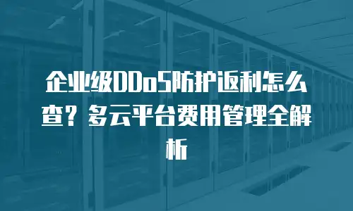 企业级DDoS防护返利怎么查？多云平台费用管理全解析