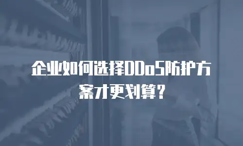 企业如何选择DDoS防护方案才更划算？