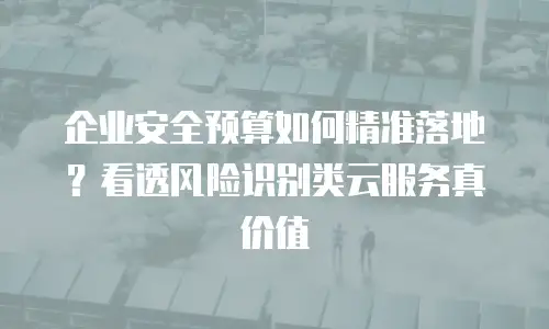 企业安全预算如何精准落地？看透风险识别类云服务真价值