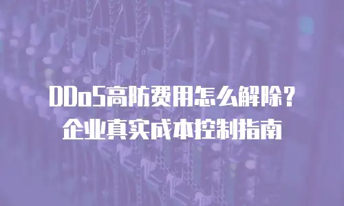 DDoS高防费用怎么解除？企业真实成本控制指南