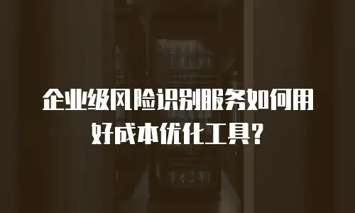 企业级风险识别服务如何用好成本优化工具？