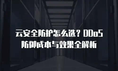 云安全防护怎么选？DDoS防御成本与效果全解析