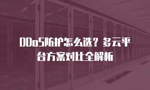 DDoS防护怎么选？多云平台方案对比全解析