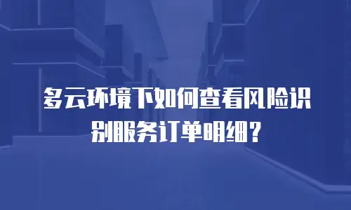 多云环境下如何查看风险识别服务订单明细？
