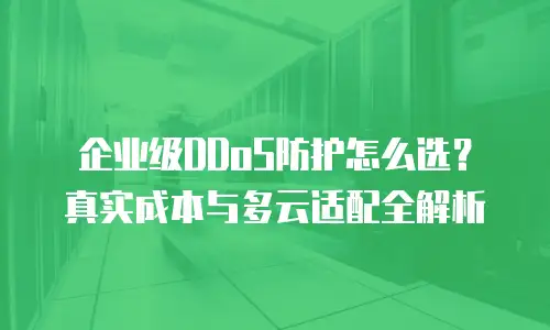 企业级DDoS防护怎么选？真实成本与多云适配全解析