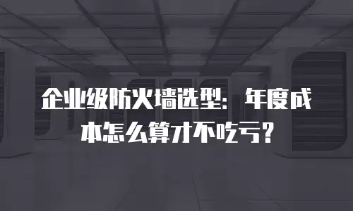企业级防火墙选型：年度成本怎么算才不吃亏？