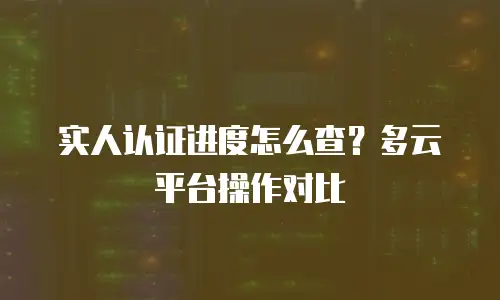 实人认证进度怎么查？多云平台操作对比