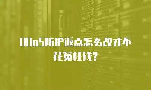 DDoS防护返点怎么改才不花冤枉钱？