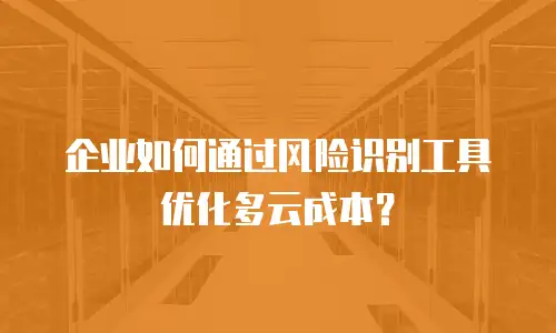 企业如何通过风险识别工具优化多云成本？