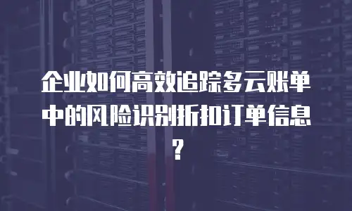 企业如何高效追踪多云账单中的风险识别折扣订单信息？