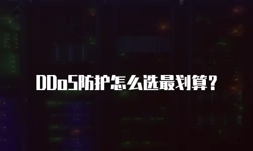 DDoS防护怎么选最划算？