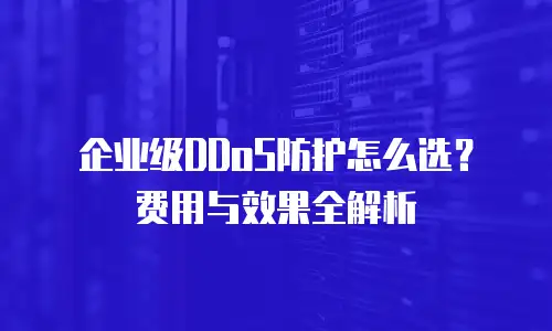 企业级DDoS防护怎么选？费用与效果全解析