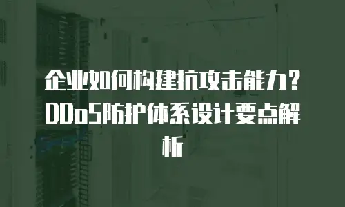 企业如何构建抗攻击能力？DDoS防护体系设计要点解析