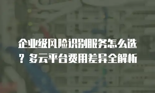 企业级风险识别服务怎么选？多云平台费用差异全解析