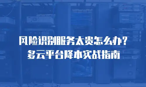 风险识别服务太贵怎么办？多云平台降本实战指南