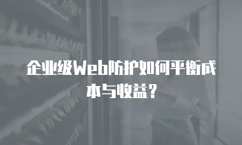 企业级Web防护如何平衡成本与收益？