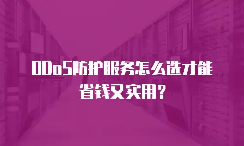 DDoS防护服务怎么选才能省钱又实用？