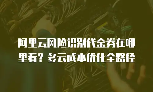 阿里云风险识别代金券在哪里看？多云成本优化全路径