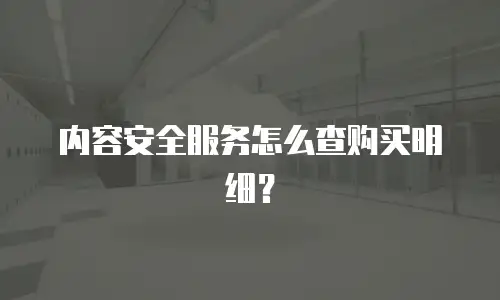 内容安全服务怎么查购买明细？