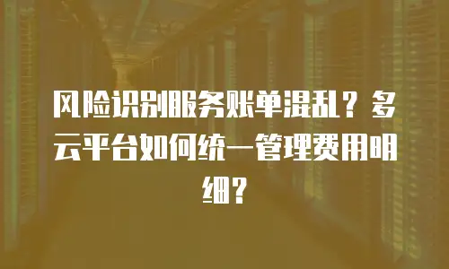 风险识别服务账单混乱？多云平台如何统一管理费用明细？