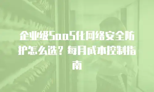 企业级SaaS化网络安全防护怎么选？每月成本控制指南