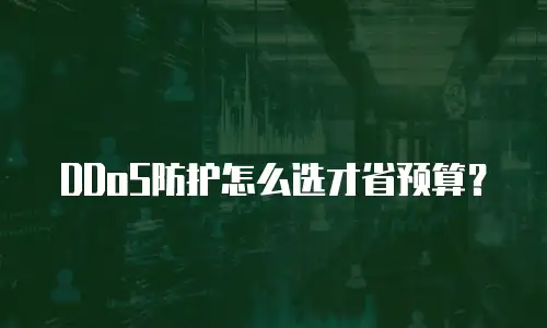 DDoS防护怎么选才省预算？