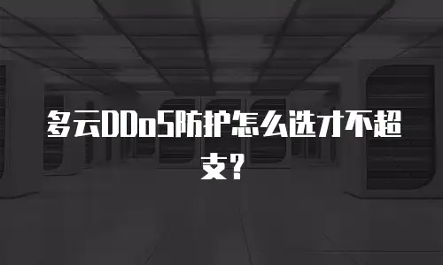 多云DDoS防护怎么选才不超支？