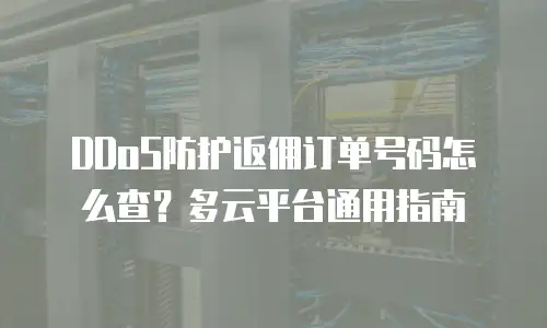 DDoS防护返佣订单号码怎么查？多云平台通用指南