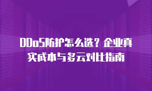 DDoS防护怎么选？企业真实成本与多云对比指南