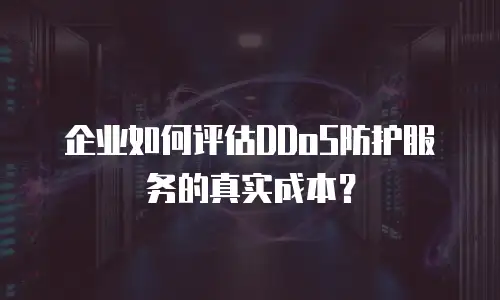 企业如何评估DDoS防护服务的真实成本？