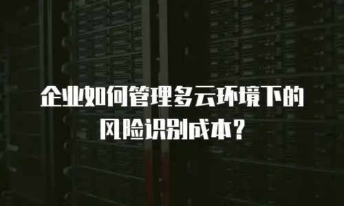 企业如何管理多云环境下的风险识别成本？