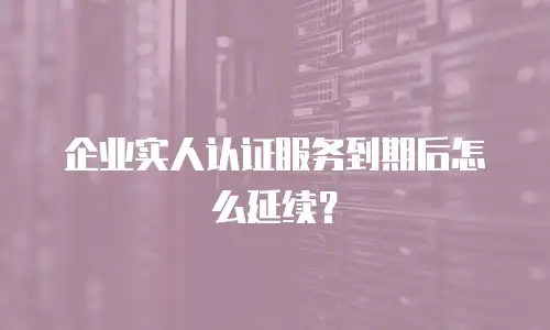 企业实人认证服务到期后怎么延续？