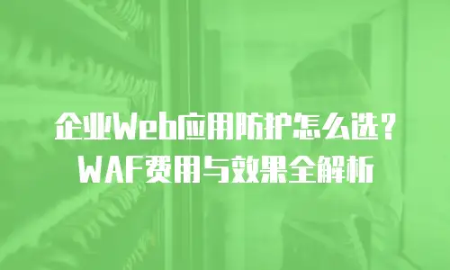 企业Web应用防护怎么选？WAF费用与效果全解析