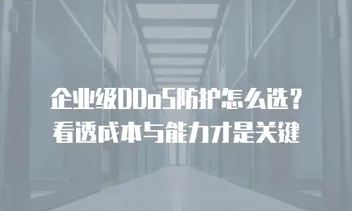 企业级DDoS防护怎么选？看透成本与能力才是关键