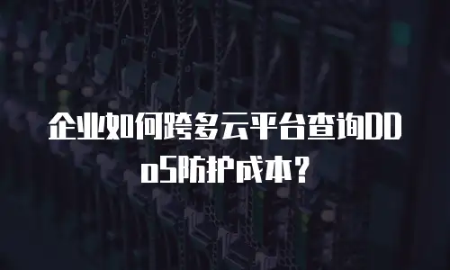 企业如何跨多云平台查询DDoS防护成本？