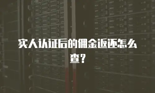 实人认证后的佣金返还怎么查？