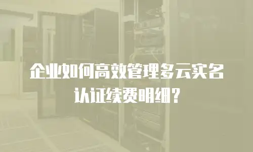 企业如何高效管理多云实名认证续费明细？