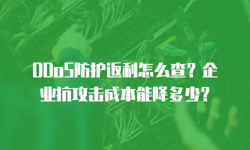 DDoS防护返利怎么查？企业抗攻击成本能降多少？