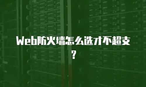 Web防火墙怎么选才不超支？