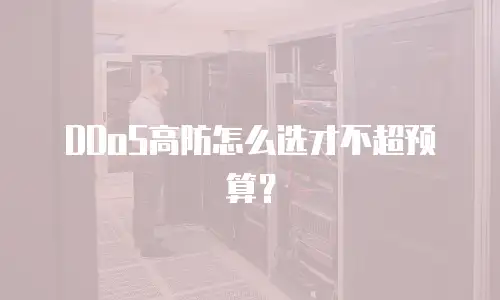 DDoS高防怎么选才不超预算？