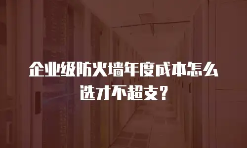 企业级防火墙年度成本怎么选才不超支？
