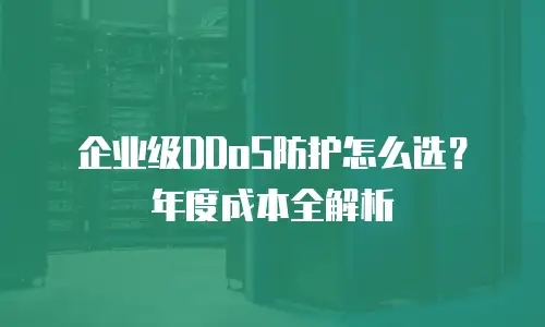 企业级DDoS防护怎么选？年度成本全解析