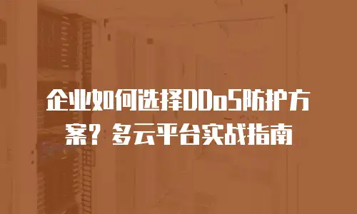 企业如何选择DDoS防护方案？多云平台实战指南