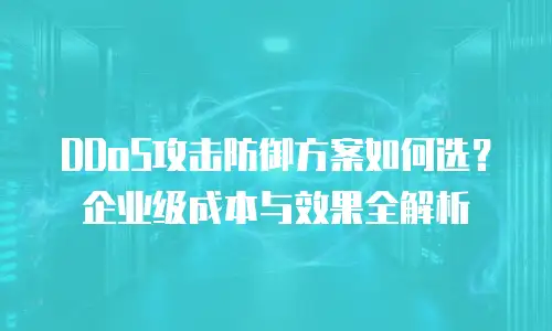 DDoS攻击防御方案如何选？企业级成本与效果全解析