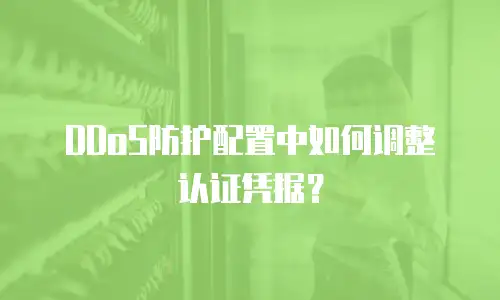 DDoS防护配置中如何调整认证凭据？
